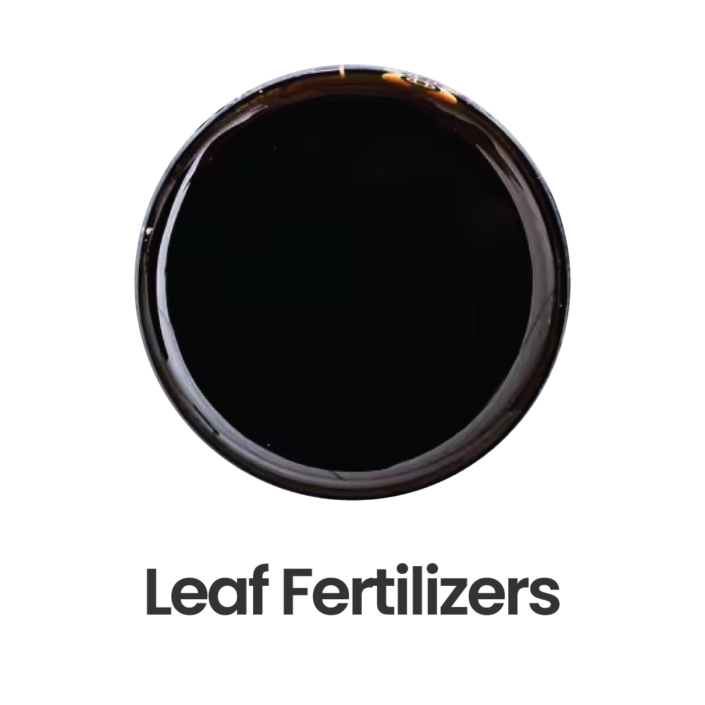 Yaprak Gubreleri Eng