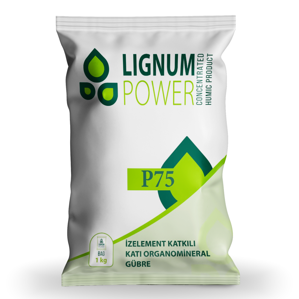 Lignum Power